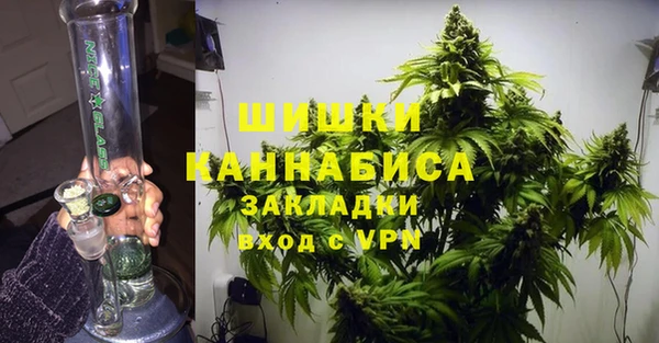 ALPHA PVP Коряжма