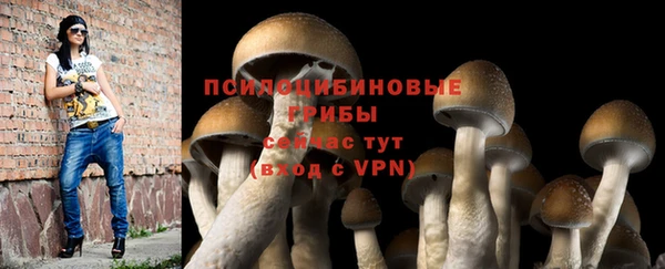 мдма Корсаков